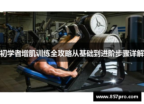 初学者增肌训练全攻略从基础到进阶步骤详解