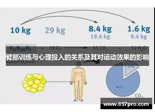 臂部训练与心理投入的关系及其对运动效果的影响